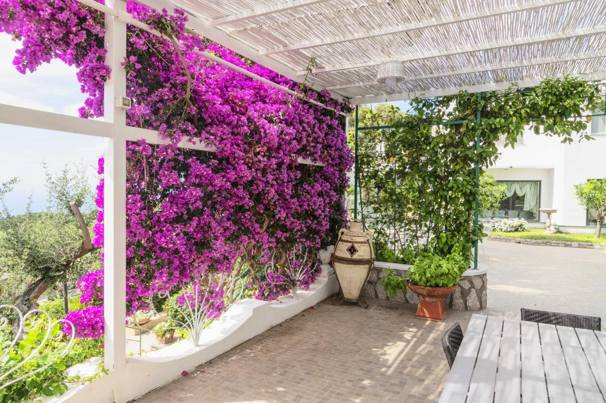 La Canostra Capri - Luxury Room Ad Anacapri 外观 照片